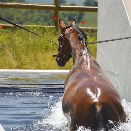Chaleureux Dans Un Domaine D'exception Hébergement de vacances *