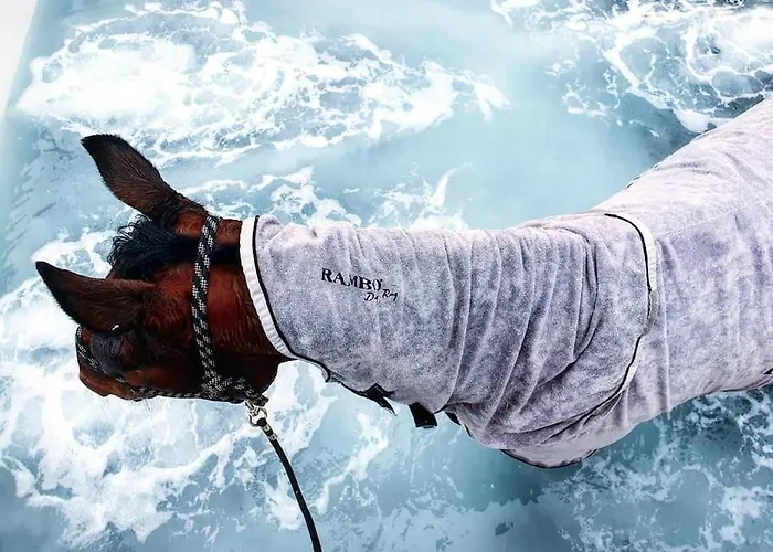 Semesterbostad Chaleureux Dans Un Domaine D'exception Nomdieu